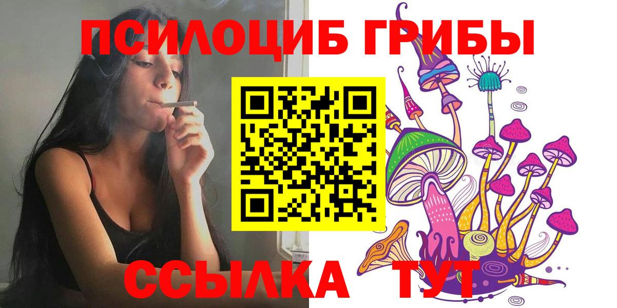 Галлюциногенные грибы MAGIC MUSHROOMS  Вход с VPN  Северобайкальск 